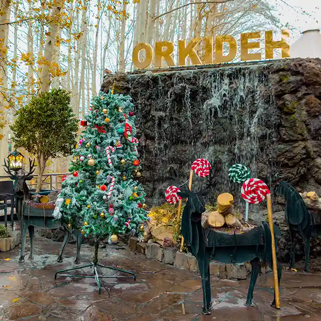 تم کریسمس در رستوران‌کافه ارکیده شعبه جاده چالوس