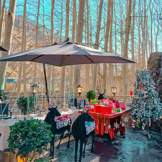 تم کریسمس در رستوران‌کافه ارکیده شعبه جاده چالوس