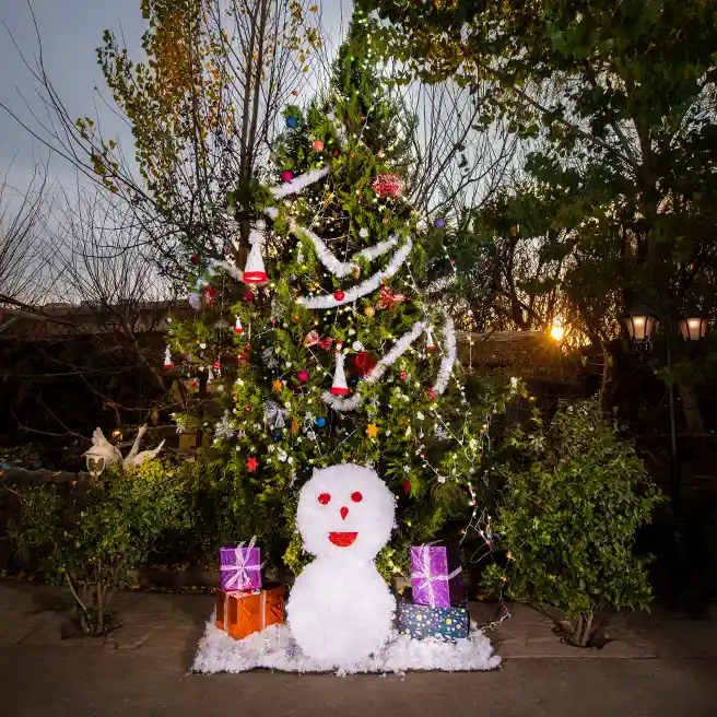 تم کریسمس در رستوران‌کافه ارکیده شعبه شهریار